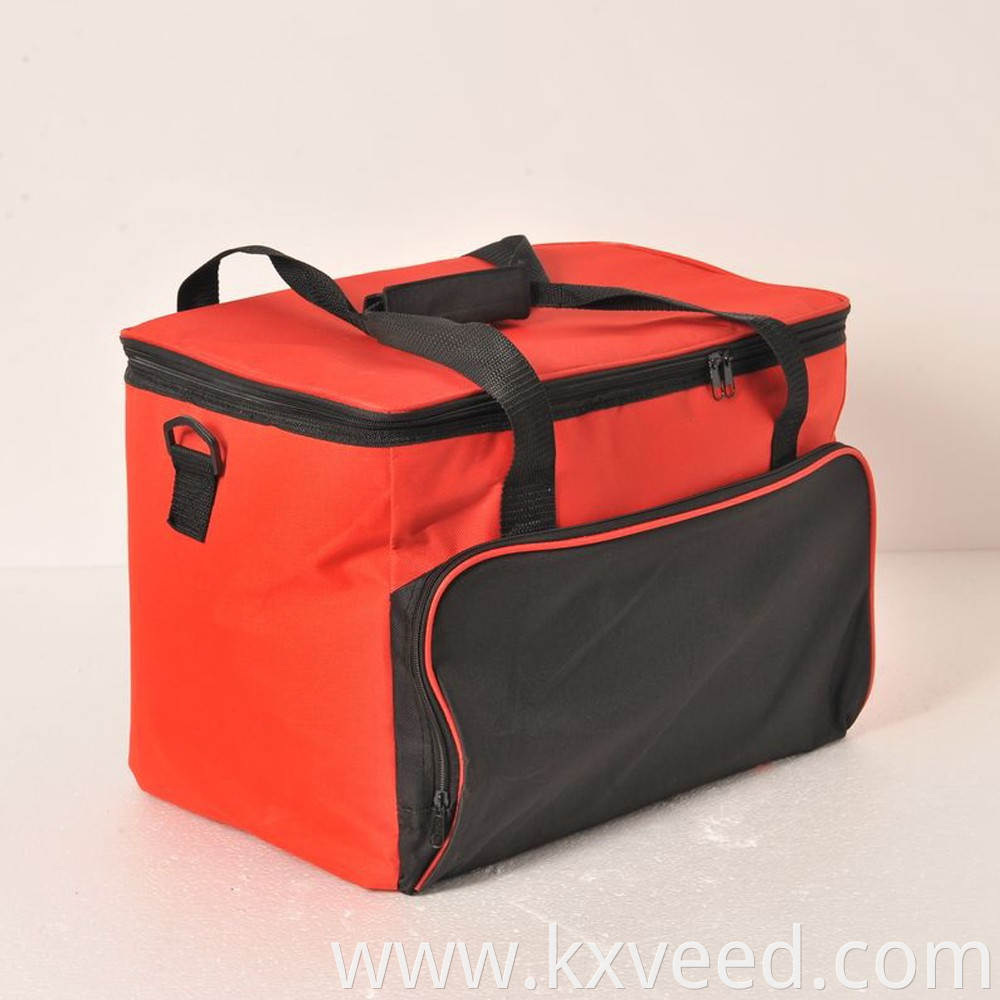 12V Plug 24L Portable Travel Electrical Picnic Cooler Bag For Car